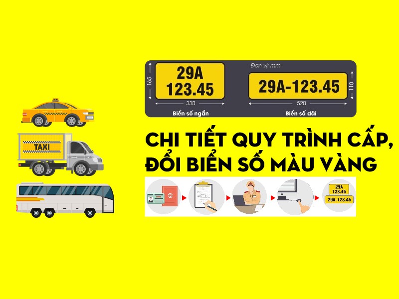 doi bien so mau vang