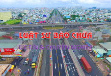 Luật sư tranh tụng vụ án gây tai nạn giao thông