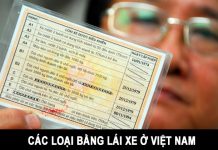 Các loại bằng lái xe ở Việt Nam