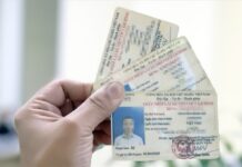 Những trường hợp bắt buộc phải đổi giấy phép lái xe sau khi sáp nhập tỉnh thành