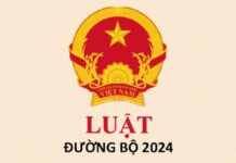 Luật đường bộ 2024