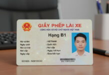 Các loại bằng lái xe 2025 và 03 thay đổi lớn về giấy phép lái xe năm 2025