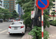 Các lỗi dừng đỗ xe ô tô