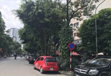 Mức phạt đối với các lỗi dừng đỗ xe ô tô 2025