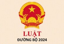 Luật đường bộ 2024