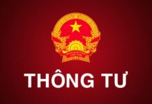 Thông tư 54/2024/TT-BGTVT quy định về trình tự, thủ tục chứng nhận chất lượng an toàn kỹ thuật và bảo vệ môi trường xe cơ giới, xe máy chuyên dùng, phụ tùng xe cơ giới trong nhập khẩu