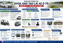 Thông tin về khóa đào tạo dạy lái xe bằng B1, B, số sàn, số tự động (cập nhật 2026)
