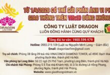 Từ 1/4/2026 Có thể gửi phản ánh vi phạm giao thông trên VNeID đúng không?