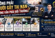 Không phải người gây tai nạn nhưng vẫn phải bồi thường?