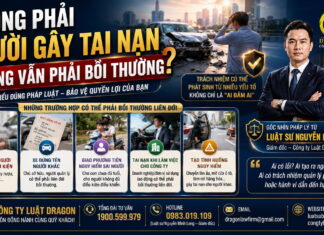 Không phải người gây tai nạn nhưng vẫn phải bồi thường?