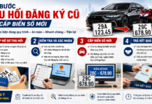 Các bước thu hồi đăng ký cũ và cấp biển số mới theo quy định mới từ 8/6/2026