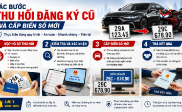 Các bước thu hồi đăng ký cũ và cấp biển số mới theo quy định mới từ 8/6/2026