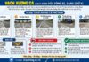 Vạch xương cá là gì? 5 loại vạch xương cá tài xế cần biết và quy định mới nhất