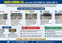 Vạch xương cá là gì? 5 loại vạch xương cá tài xế cần biết và quy định mới nhất