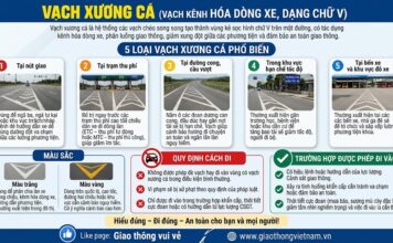 Vạch xương cá là gì? 5 loại vạch xương cá tài xế cần biết và quy định mới nhất