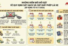 Những điểm mới nổi bật về quy định sát hạch và cấp giấy phép lái xe