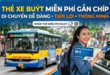 Những lưu ý quan trọng khi đăng ký thẻ xe buýt miễn phí gắn chip tại Hà Nội từ ngày 06/7/2026