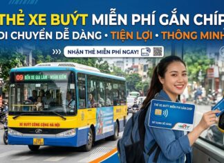 Những lưu ý quan trọng khi đăng ký thẻ xe buýt miễn phí gắn chip tại Hà Nội từ ngày 06/7/2026