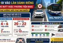 Đi vào làn đường dành riêng cho xe buýt hoặc phương tiện khác